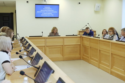  Комитет по бюджету рекомендовал рассмотреть на сессии альтернативные законопроекты о налоговых льготах для пострадавших от наводнения 